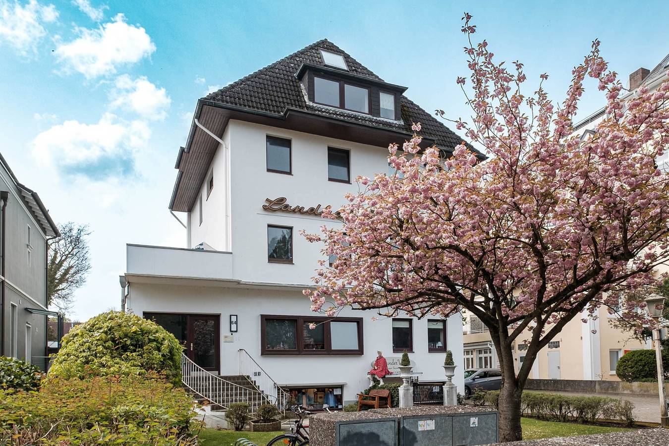 Seepferdchen, foto 10