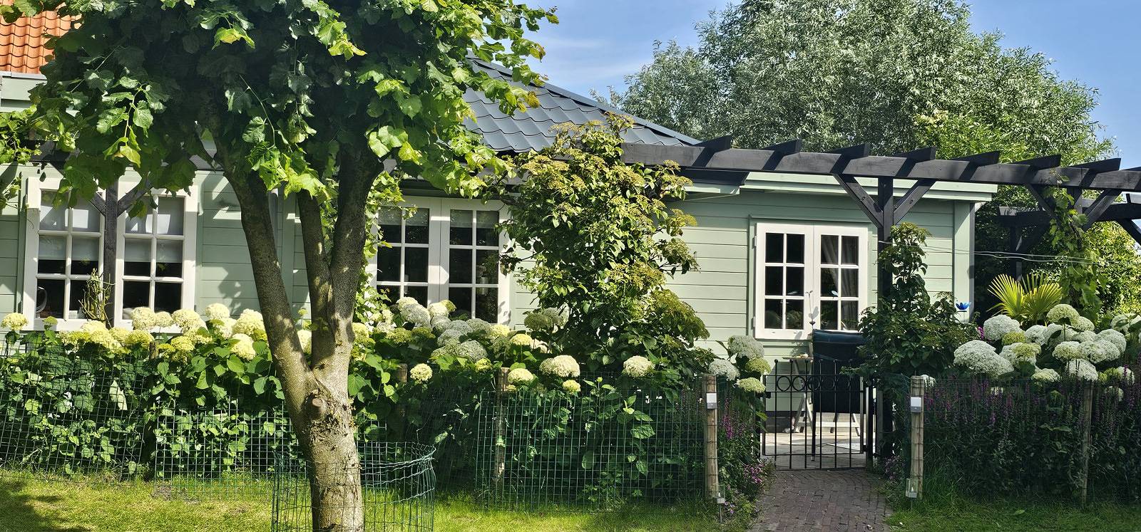 Charmantes Haus für 2P in Julianadorp in Strandnähe mit Blick auf die Blumenzwiebelfelder in Noord-Holland - Nordseeküste