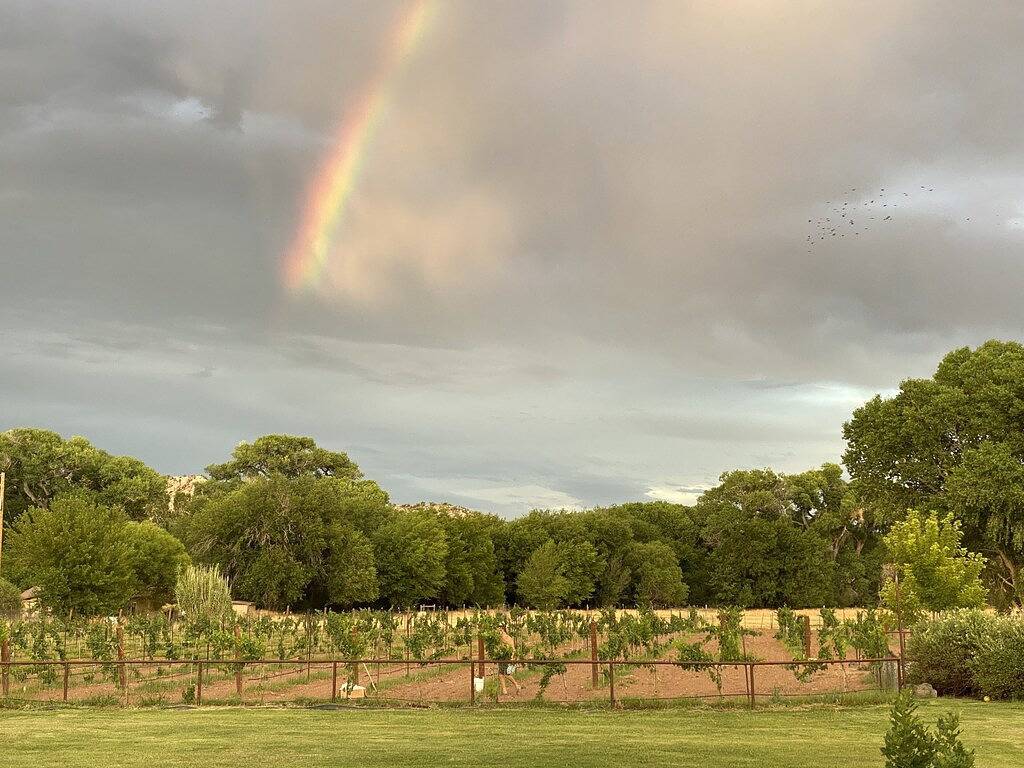 Cabernet Cottage in Cottonwood (AZ), Coconino Nationalwald