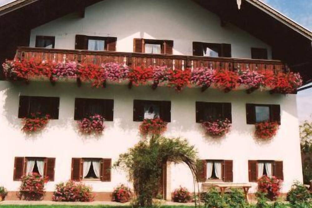 Ganze Wohnung, Ferienwohnung 50m², 2. Stock, 1 Schlafzimmer, Wohn/Schlafzimmer, Tv, Balkon in Frasdorf, Chiemsee