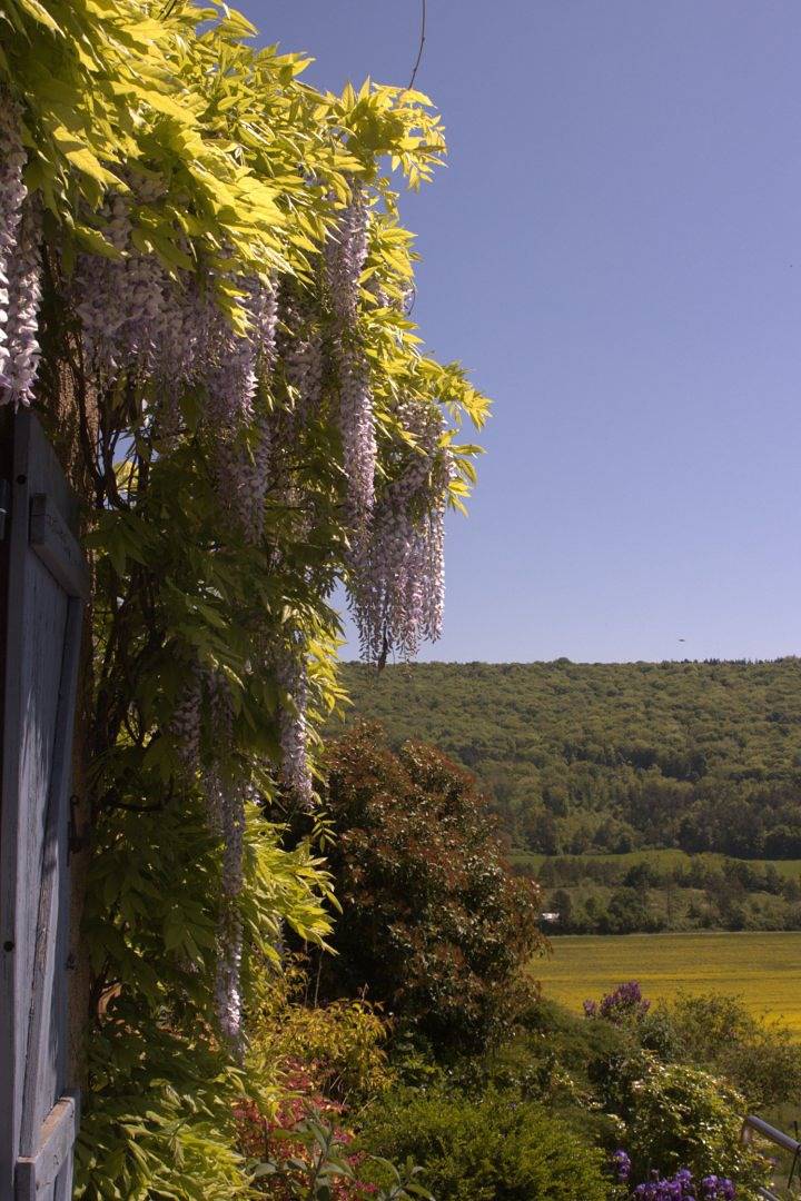 La Closerie de Vergy in Curtil-Vergy, Région de Dijon