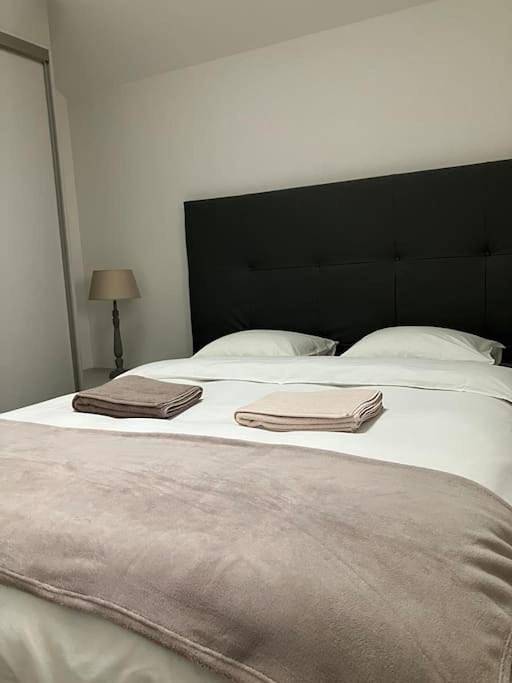 Appartement entier, Joli duplex proche du lac Léman in Messery, Région de Thonon-les-Bains