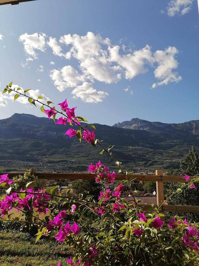 Dolce Dormire in Rovereto, Trentino