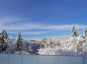 Gîte pour 10 personnes, avec jardin et vue, animaux acceptés à Morez