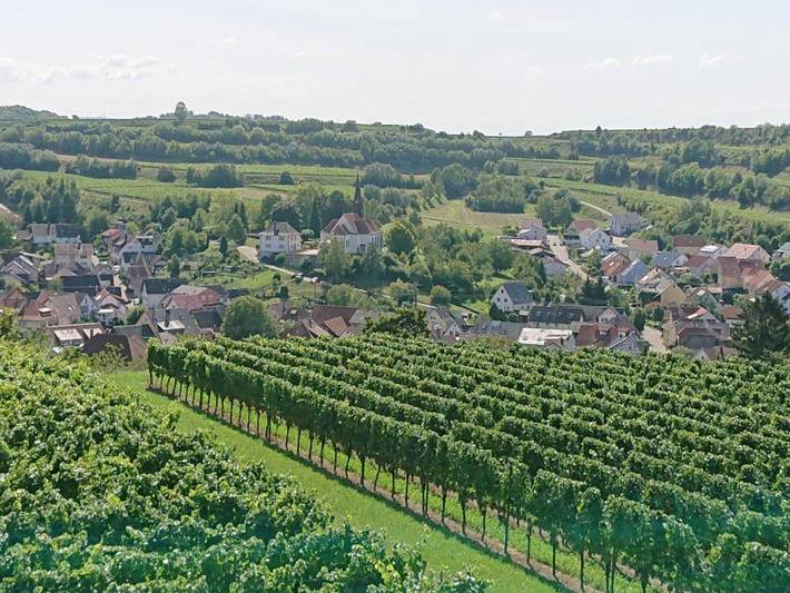 Ganze Ferienwohnung, Ferien im Heckenland in Kenzingen, Südschwarzwald