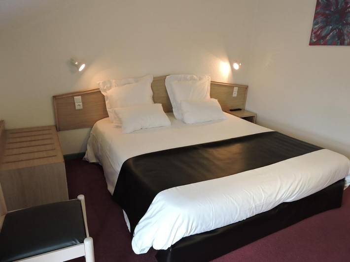 Hôtel pour 2 personnes, avec piscine et jardin, animaux acceptés à La Roche-sur-Foron - 4