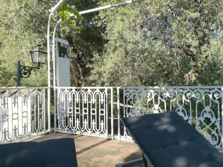 Maison d’hôte pour 3 personnes, avec jardin et terrasse, animaux acceptés à Sorrento - 4