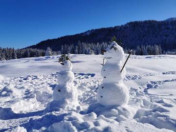 Hütte für 5 Personen in Reit im Winkl, Bayerische Alpen, Bild 4