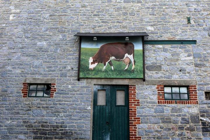 Location de vacances pour 2 personnes, avec jardin, animaux acceptés à Philippeville - 4