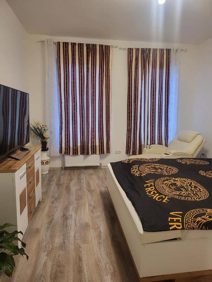 Ferienwohnung für 5 Personen, mit Balkon und Terrasse sowie Garten und Ausblick in Altenburg - 4
