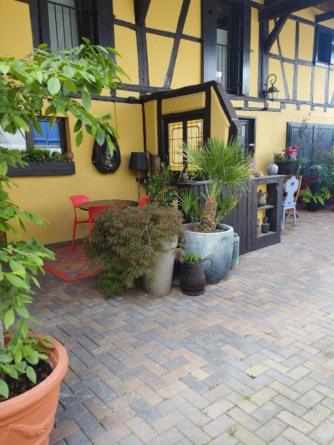 Gîte pour 2 personnes, avec jardin, animaux acceptés à Guémar