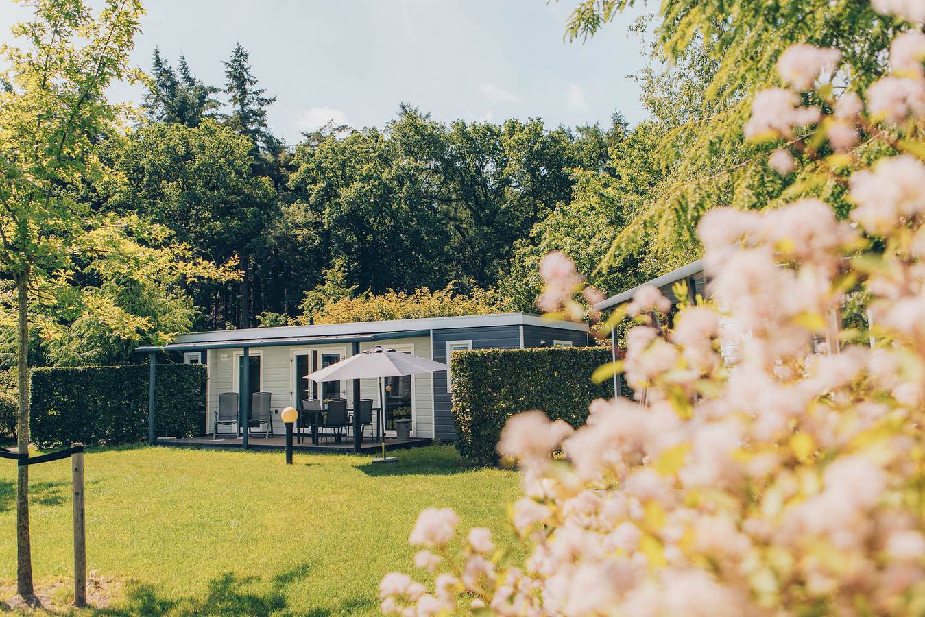 Vakantiepark voor 6 Personen in Veluwe