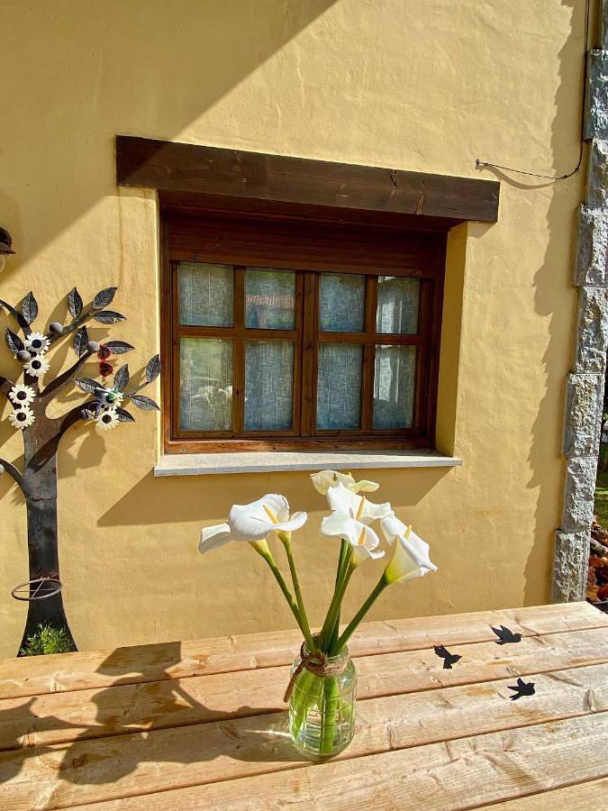 Casa rural para 7 personas, con vistas y jardín, Se admiten mascotas en Llanes - 3
