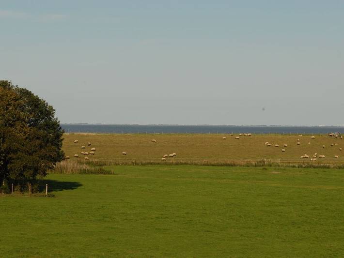 Ferienhaus mit Meerblick für 4 Personen, mit Balkon in Dangast - 2