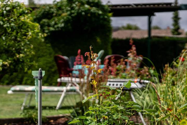 Ferienwohnung für 4 Personen, mit Garten an der Müritz - 2