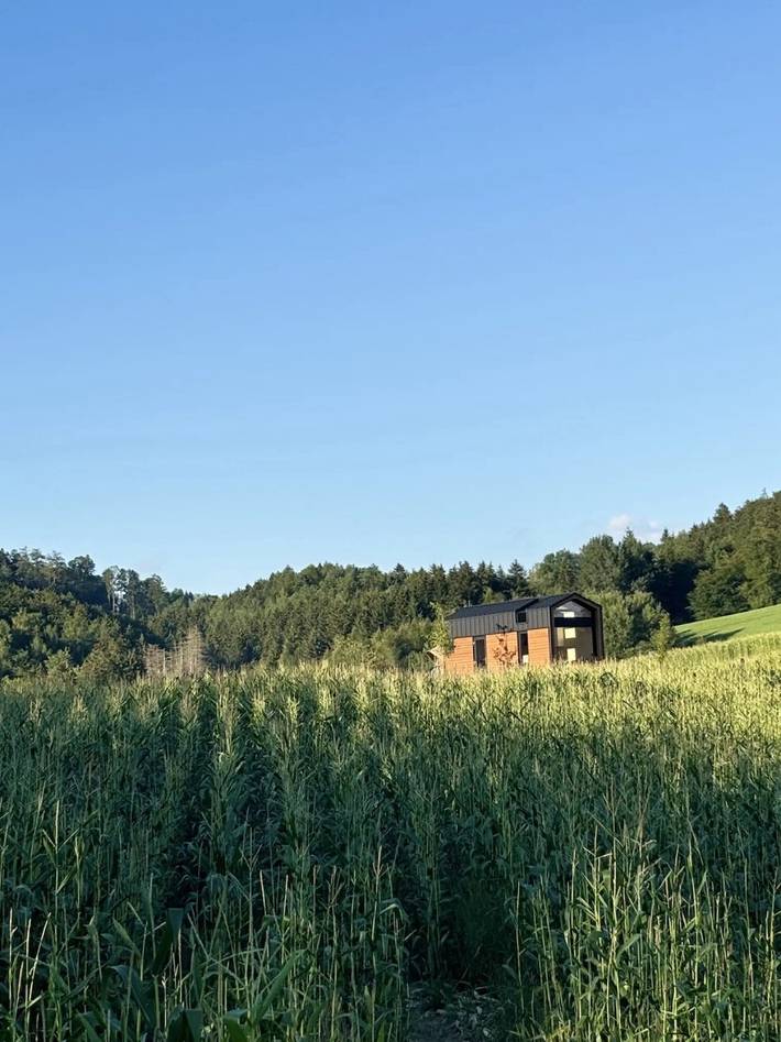 Ferienwohnung für 4 Personen, mit Garten - 1