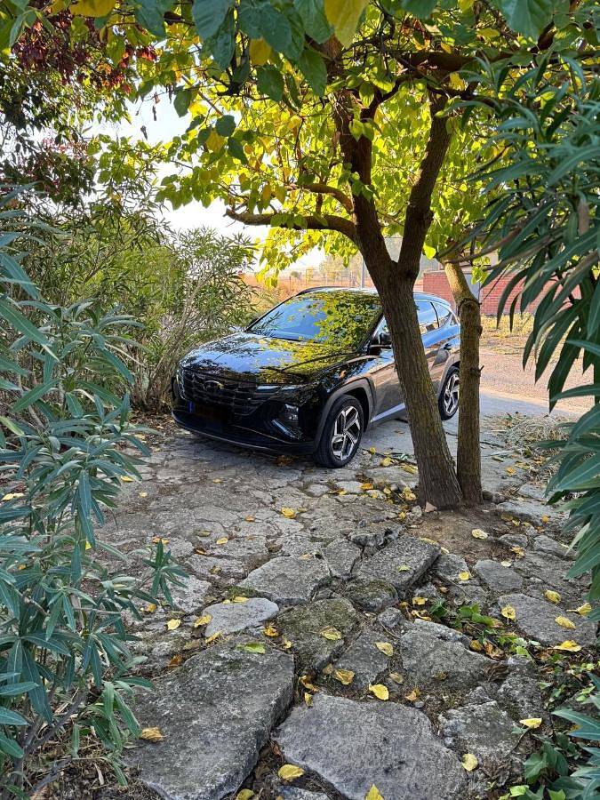 Casa rural para 4 personas, con vistas y jardín, Se admiten mascotas en Provincia de Valladolid - 4