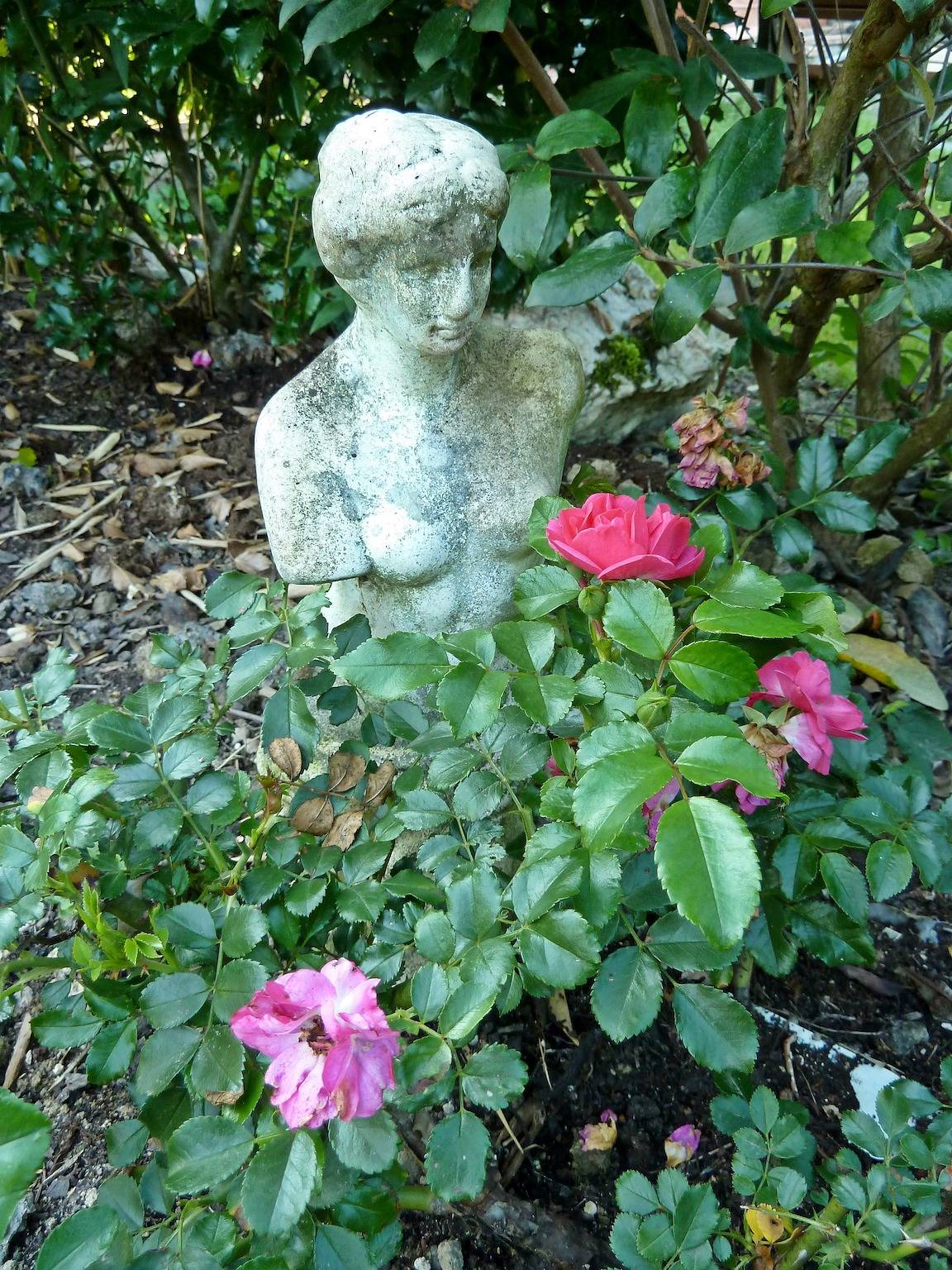 Ferienhäuser Casa Am Baybachtal in Heyweiler, Beltheim