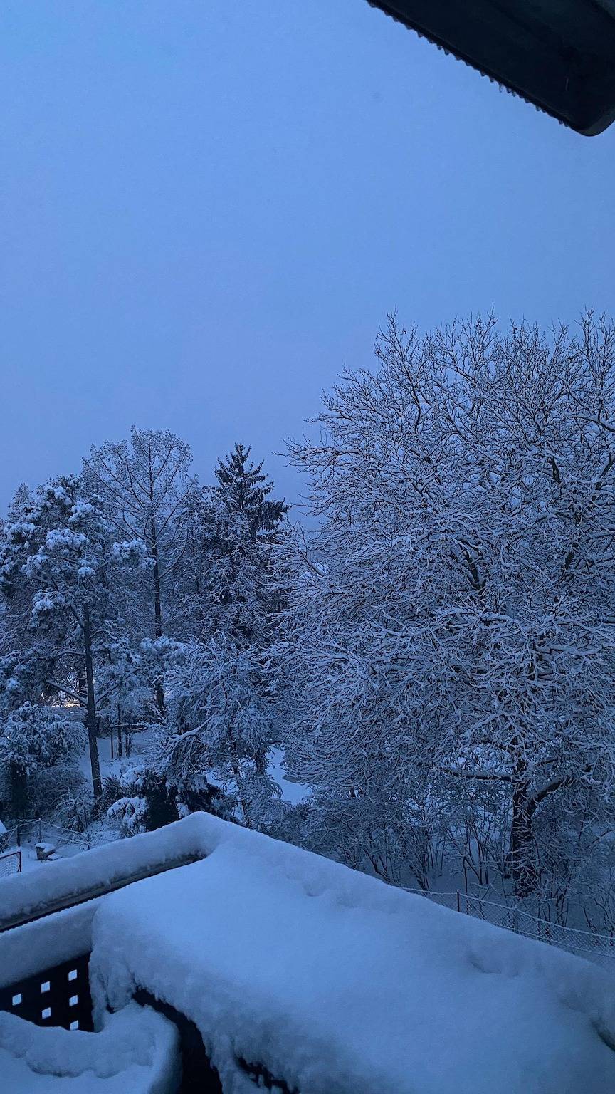 Studio Birkental in Veitshöchheim, Fränkisches Weinland