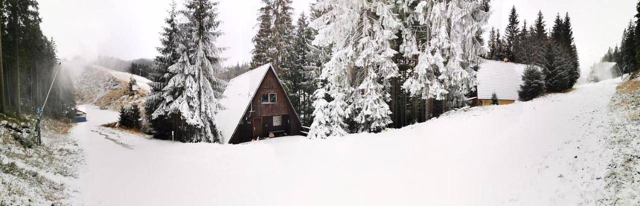 Standard Twin Room with Mountain View in Demianowska Dolina, Jasná Nízke Tatry