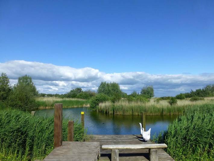 Ferienhaus für 6 Personen, mit Sauna und Garten in Makkum - 2