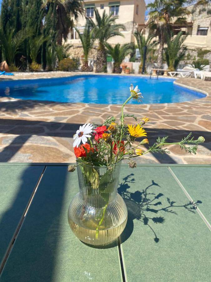 Chalet para 2 personas, con jardín además de vistas y piscina en Comunidad Valenciana - 2