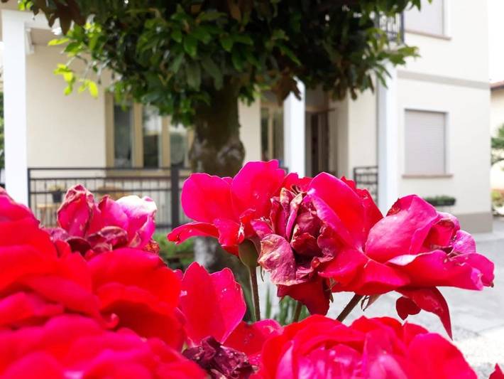 Location de vacances pour 6 personnes, avec jardin à Sacile - 3