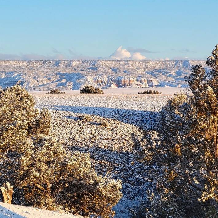 Vacation apartment for 2 people, with terrace, with pets in New Mexico