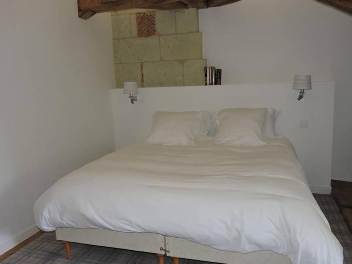 Hôtel pour 5 personnes, avec jardin et piscine ainsi que vue et sauna, animaux acceptés à Fontevraud-l'Abbaye - 4