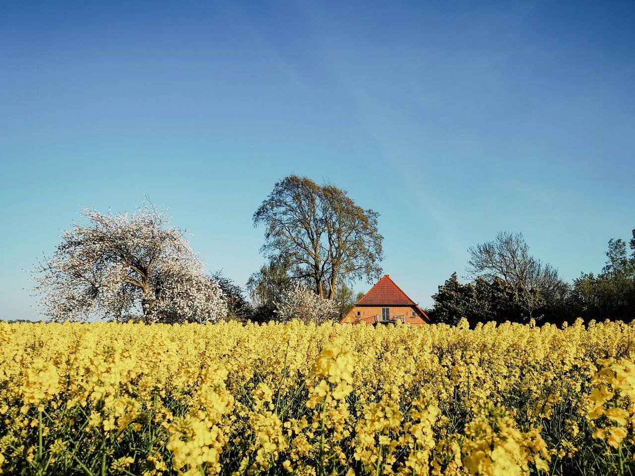 Modernidad en una granja con vistas al Bodden in Ummanz, Rügen