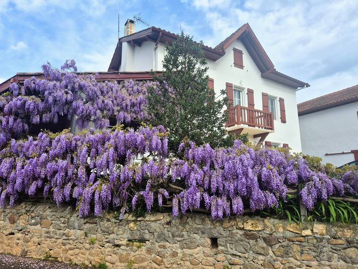 Gîte pour 6 personnes, avec terrasse à Anhaux