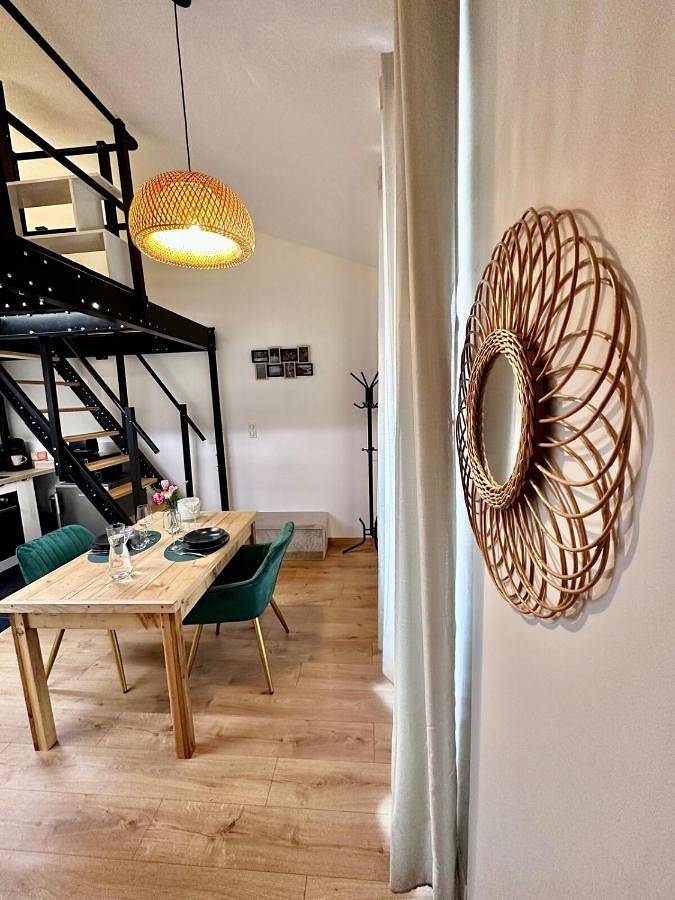 Gîte pour 2 personnes, animaux acceptés à Roanne - 3