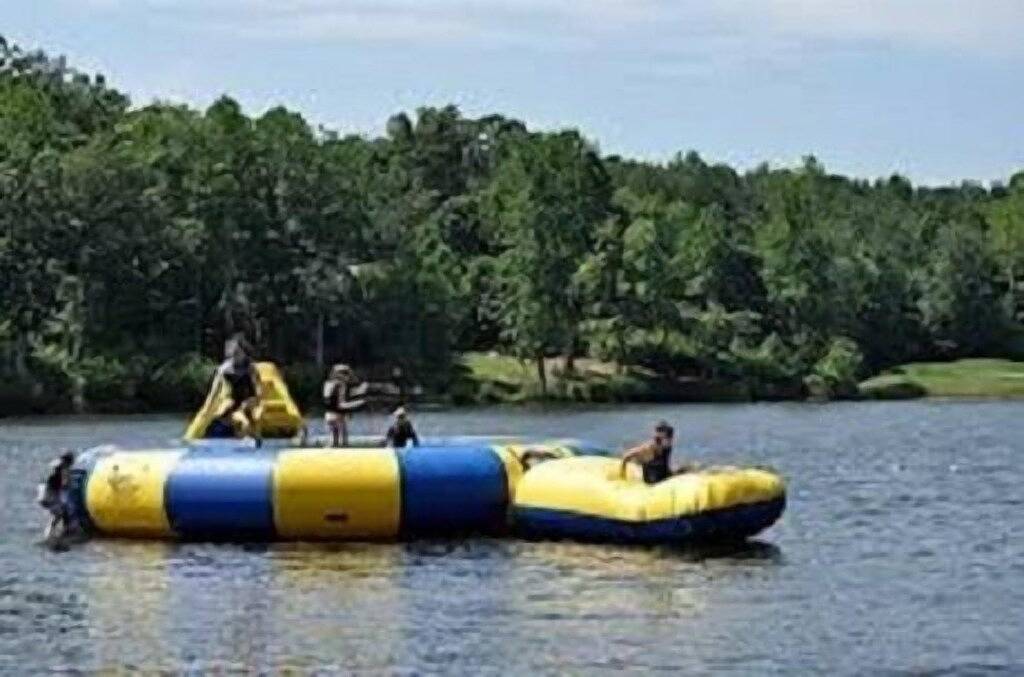 Ganze Wohnung, Best Location & View auf Mtn - Haustiere erlaubt - Ski in / out in Wintergreen, Nelson County