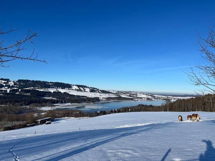 Ferienwohnung für 6 Personen, mit Seeblick und Ausblick, kinderfreundlich in Wertach - 3