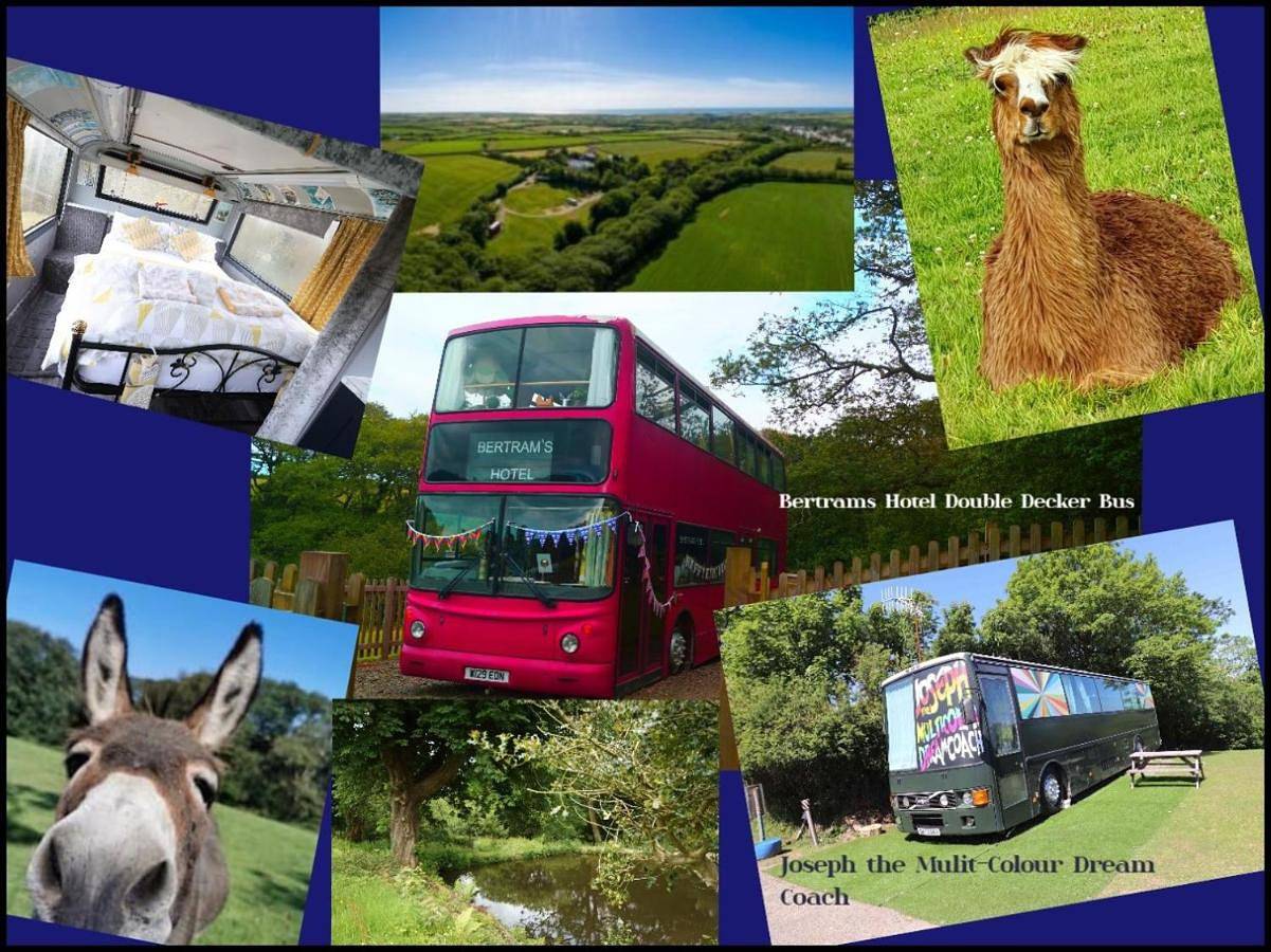Fosfelle Glamping in Hartland, Hartland Devon Heritage Coast