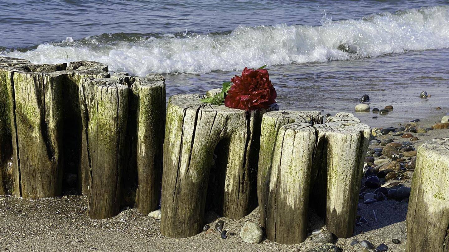 Ganze Wohnung, Ostseeruhe in Börgerende, Börgerende-Rethwisch