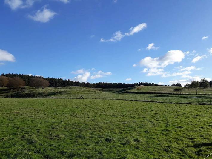 Ferienhaus für 10 Personen, mit Pool, kinderfreundlich in Bønnerup Strand - 3