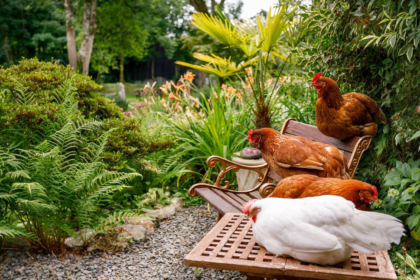 Cottage für 4 Personen mit Garten in Cornwall