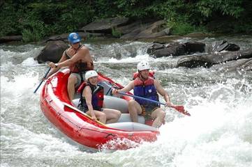 Cottage for 12 Guests in Georgia, USA, Picture 3