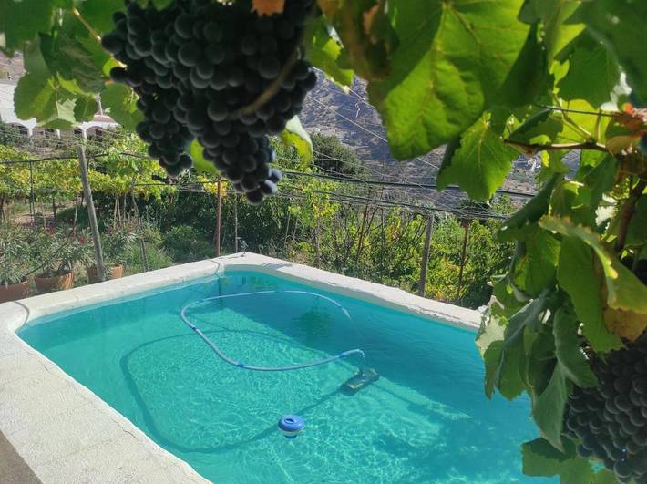 Alojamiento y desayuno para 2 personas, con piscina además de jardín y vistas en Alpujarra Almeriense - 4