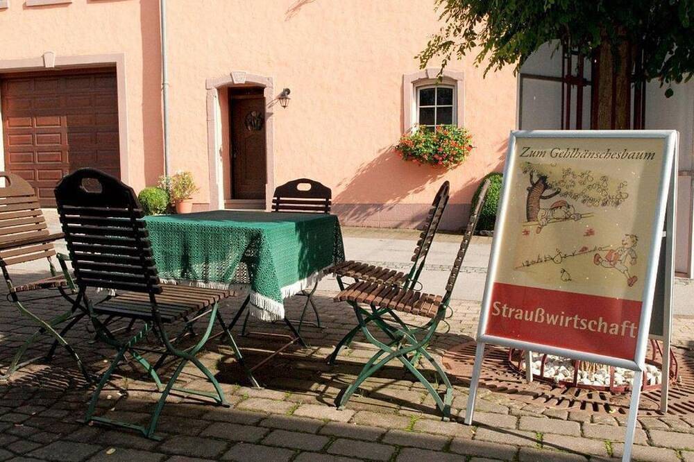 2-bed apartment No. 6 (40 m²) - Weingut-Gästehaus R. Schroeder in Mehring, Moseleifel