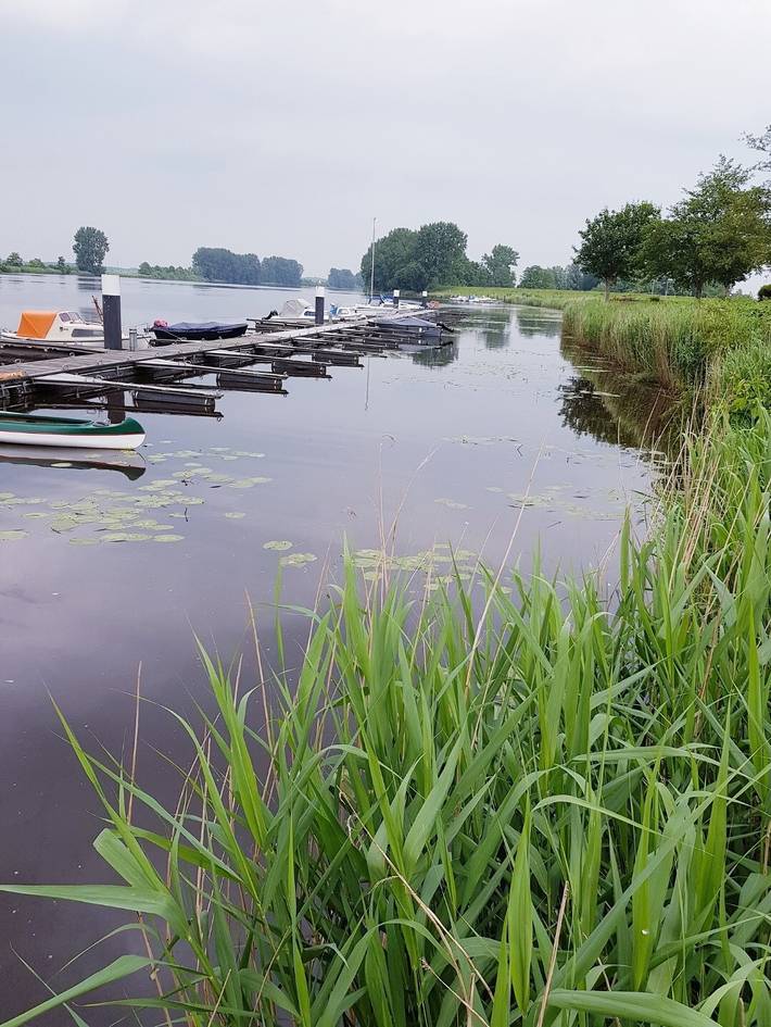 Ferienhaus für 7 Personen, mit Garten, mit Haustier in Dithmarschen - 2