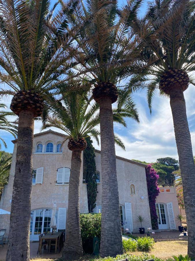 Villa les Palmiers in Tiuccia, Calcatoggio
