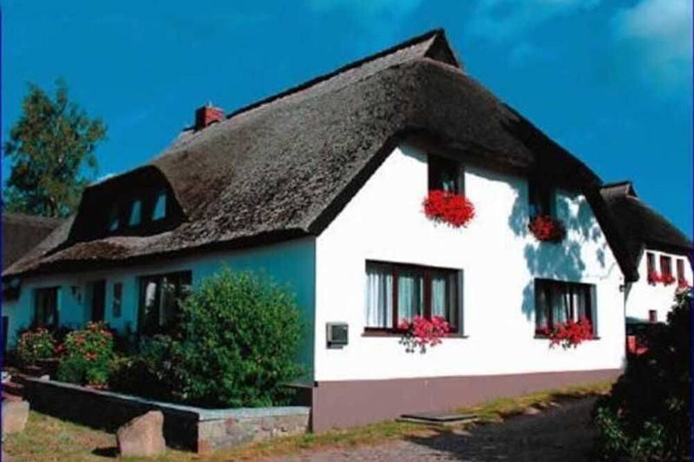 Ganze Wohnung, Fewo 1 Gartenwohnung - Rügen-Fewo 233 Groß Zicker Ferienwohnungen in Groß Zicker, Mönchgut