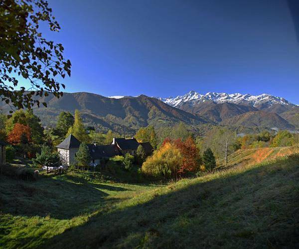 Le Chèvrefeuille in Oust, Parc naturel régional des Pyrénées ariégeoises