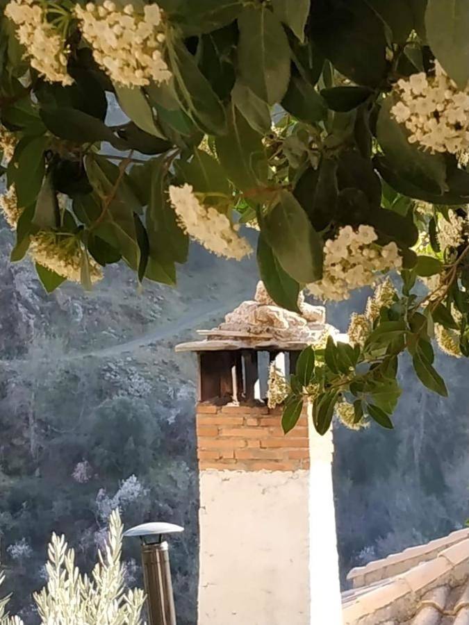Cortijo La Solana in Güejar Sierra, Provincia de Granada