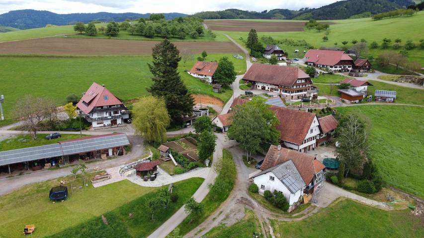 Ganze Wohnung, Ferienwohnung 'Im Bauernhaus' mit Bergblick, Gemeinschaftsterrasse und Gemeinschaftsgarten in Oberharmersbach, Mittlerer Schwarzwald