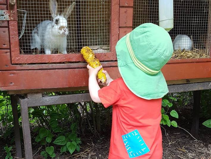 Bauernhof für 4 Personen, mit Garten, kinderfreundlich an der Ostsee Schleswig-Holstein - 3