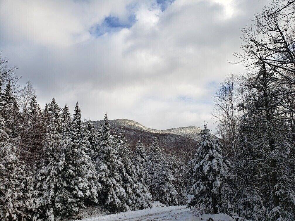 Black Mtn / Jackson Nh-Abfahrt & X Country Skiing-Privat in Jackson (NH), White Mountain National Forest