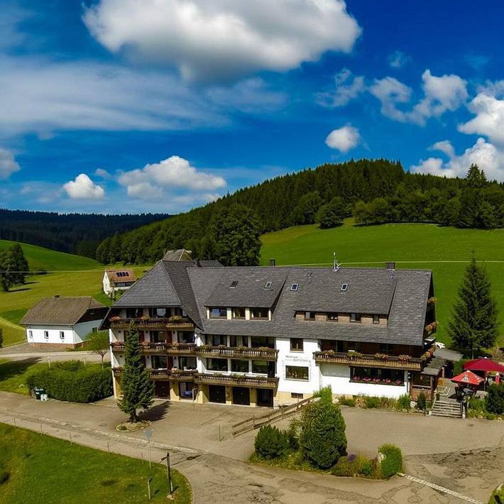 Hôtel pour 4 personnes, avec Balcon et Terrasse ainsi que Jardin et Sauna